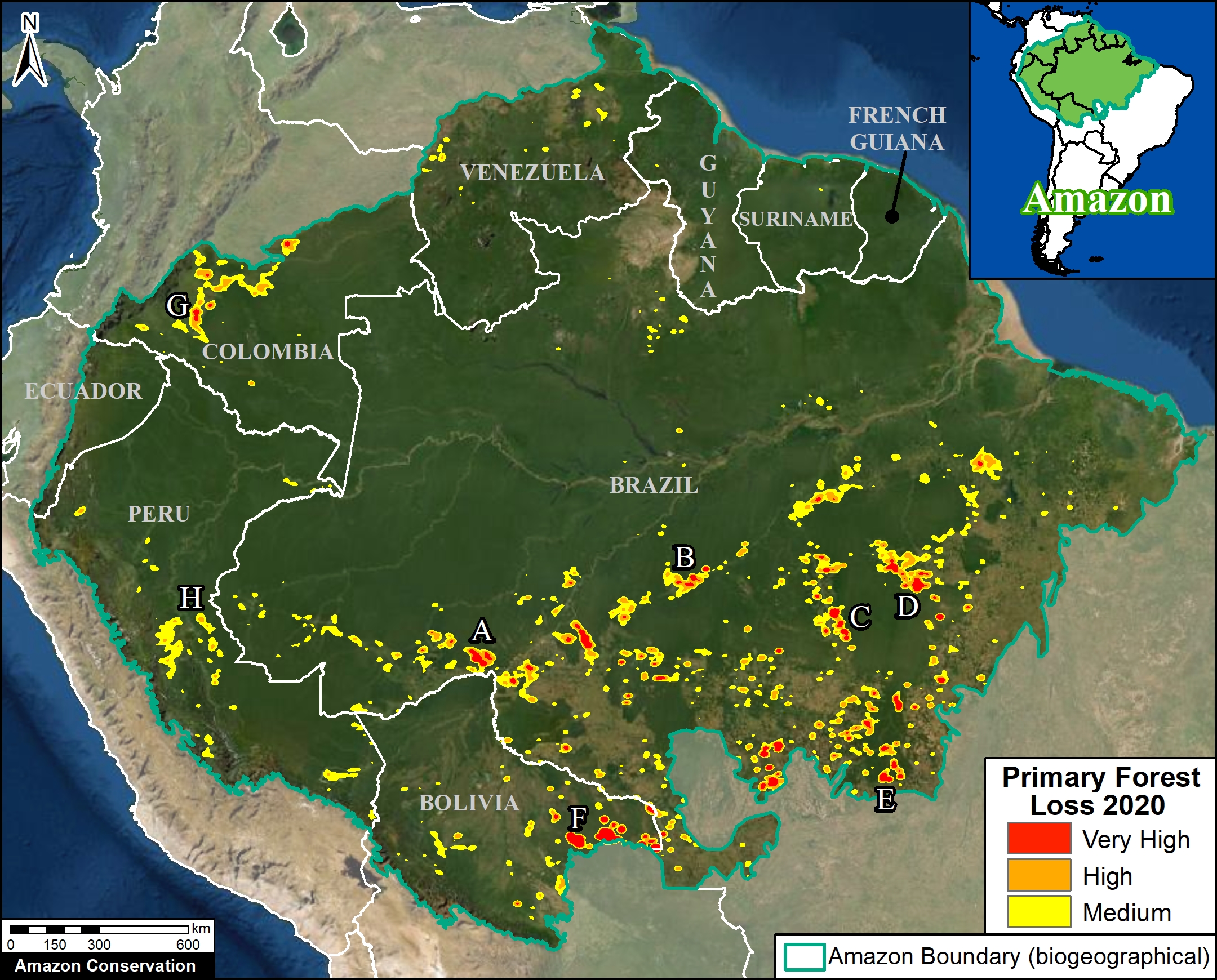 map amazon forest in which country        <h3 class=