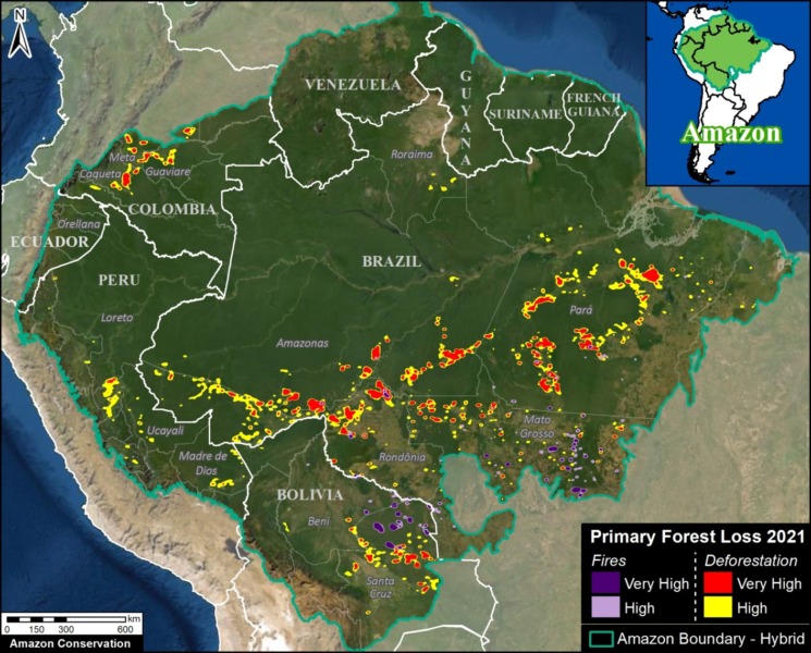 MAAP #158: Amazon Deforestation & Fire Hotspots 2021 | MAAP
