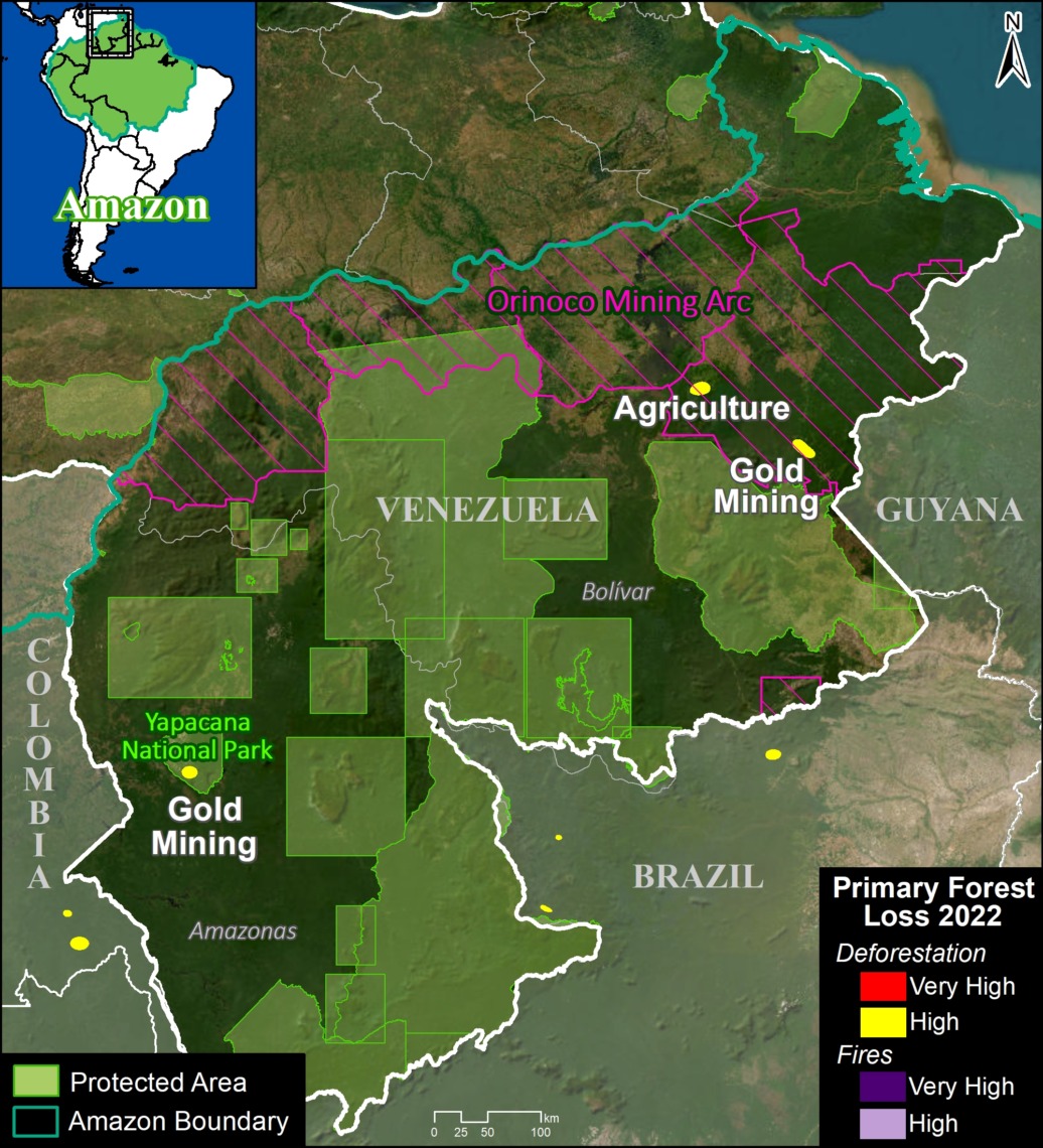 MAAP #187: Amazon Deforestation & Fire Hotspots 2022 | MAAP
